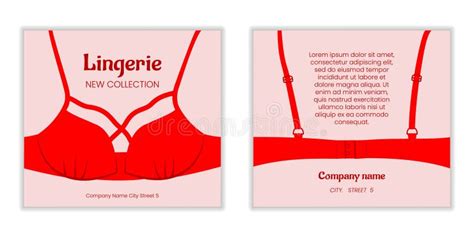 female underwear bra lingerie woman clothes for flyer textile panties pink swimwear bikini