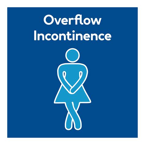 The 2023 Ultimate Guide To Incontinence Everything You Need To Know