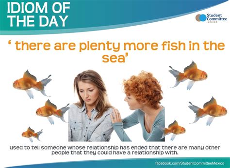 There Are Plenty More Fish In The Sea Idiom Of The Day English Idioms English Conversation