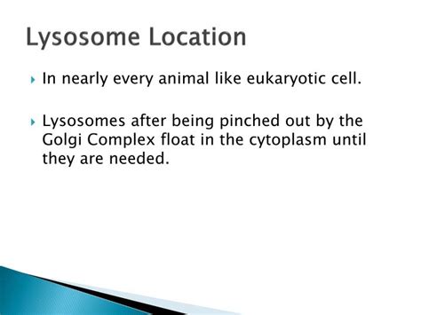 Lysosomes act as the waste disposal system of the cell by digesting materials from both inside and outside the cell. PPT - Lysosomes And Vacuoles PowerPoint Presentation - ID ...