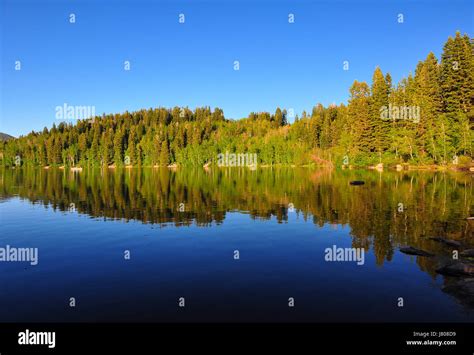 Blue Tree Reflection Fresh Water Lake Inland Water Water Landscape