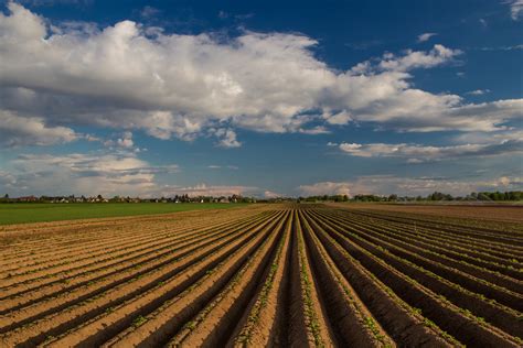 Nestled on 50 acres, the fields feels like a retreat in the heart of east bloomington. Wide open fields Foto & Bild | landschaft, Äcker, felder ...