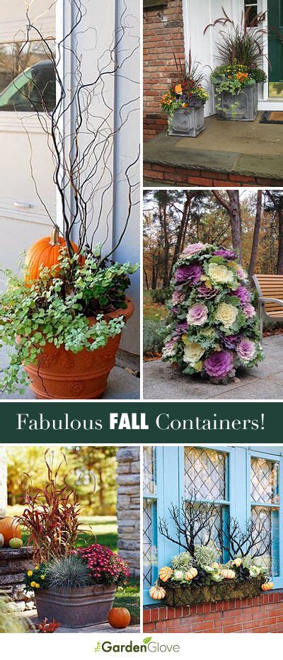 Fabulous Fall Container Ideas The Garden Glove Fall Container
