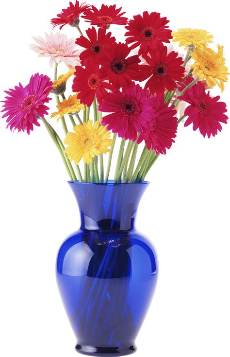 Find illustrations of fiori png. Vase PNG