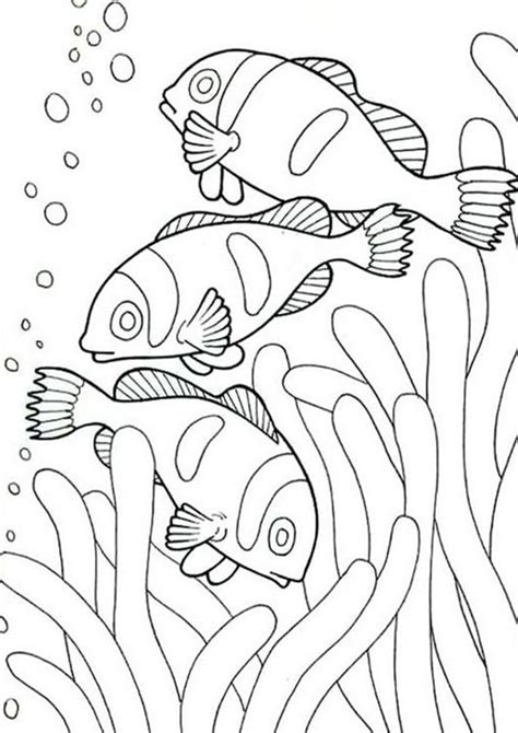 Free And Easy To Print Fish Coloring Pages Fish Coloring Page Ocean