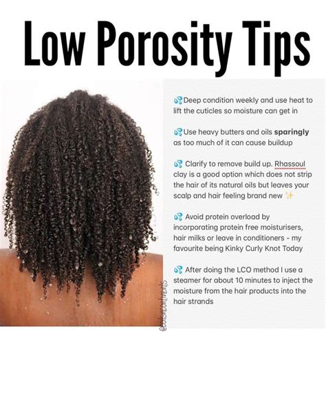 Comment Tester Vos Cheveux Porosité Niveau In 2020 Hair Porosity Low