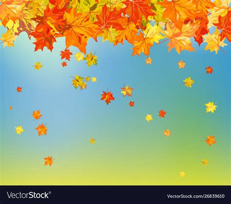 Fall Autumn Background Royalty Free Vector Image