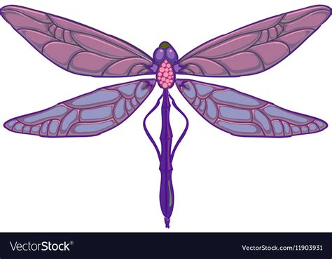 Purple Dragonfly On White Background Royalty Free Vector