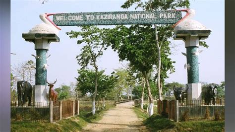 Assam Kaziranga National Park Formally Opened For Tourists Assam