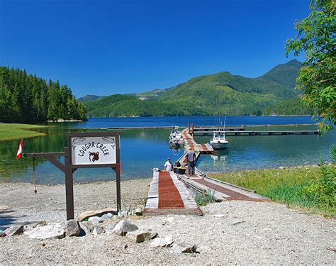 Cougar Creek Rec Site Vancouver Island Vancouver Island News Events