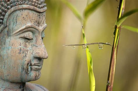 Buddhist Loving Kindness Meditation Script Guide Metta Meditation