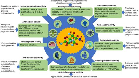 The Bioactivities Of Plant Polysaccharides And Their Influences On Download Scientific Diagram