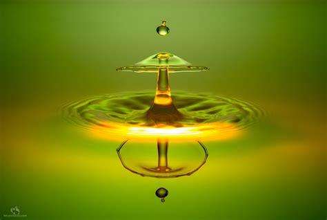 Hintergrundbilder Beleuchtung Wasser Betrachtung Makro Grün Gelb