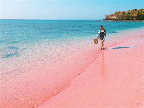Lombok Pink Beach Island Hopping And Snorkeling With Japanese Guide