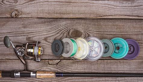 8 Best Ultralight Spinning Reels In 2023 Reviewed By Fishing