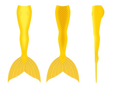 We did not find results for: Mermaid Tail Drawing | Free download on ClipArtMag