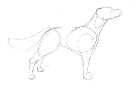 At first, try to create sketches now we will take a closer look at how to draw a simple dog face in profile and full face and learn about proportions and some other important details. Draw A Dog In 15 Minutes · How To Draw An Animal Drawing ...
