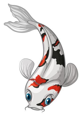 Gambar Ikan Koi Vector - Gambar Ikan HD