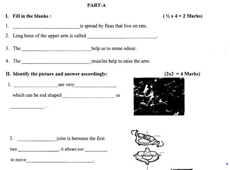 Question 7  your english teacher has asked you to write a story. CBSE Class 5 Science Question Paper Set E