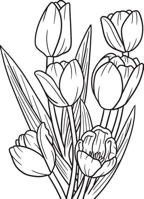 Tulips Flower Coloring Page For Adults 7066831 Vector Art At Vecteezy