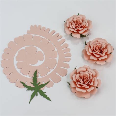 rolled rose paper flower svg digital file for cricut and silhouette windblown ideas