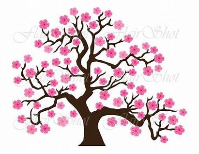 Tree Blossom Cherry Clip Pink Bonsai Clipart