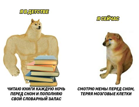 Мемы про двух собак 42 фото Юмор позитив и много смешных картинок
