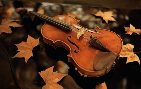 Violin Photography Wallpapers Wallpaper Cave