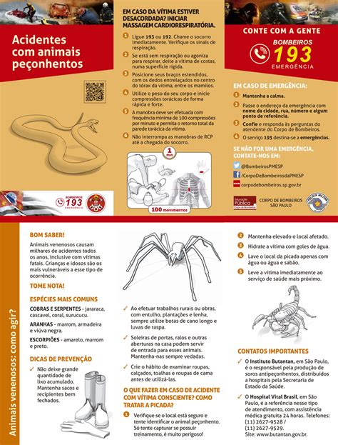 Acidente Por Animal Peconhento