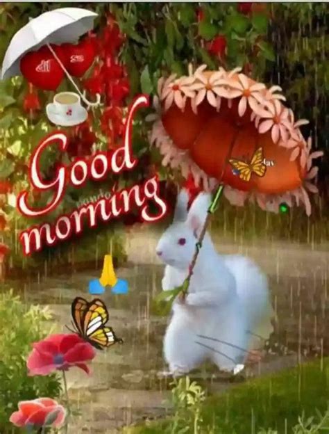 Good Morning Sister Have A Nice Day 💝 ☺️ Good Morning Friday Images