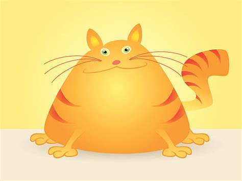 Fat Cat Illustrations Royalty Free Vector Graphics And Clip