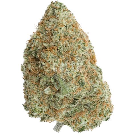 Durban Poison | Buy Weed Online Canada | Green Society