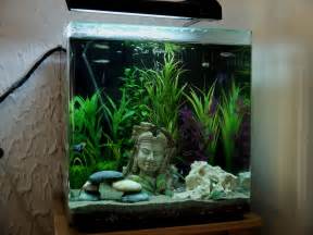Amazing Betta Fish Tanks With Filter is listed in our Amazing Betta 