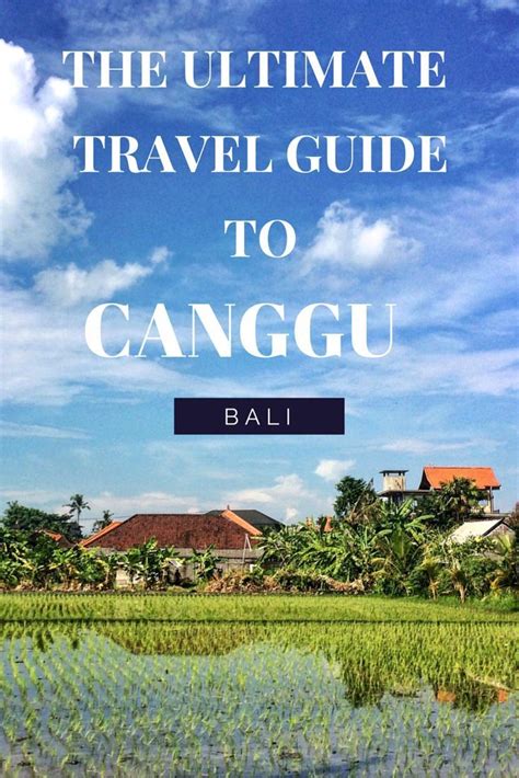 Ultimate Travel Guide To Canggu Bali Things To Do Eat And Where To