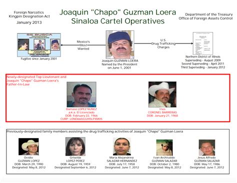 Sinaloa Cartel Organization Chart