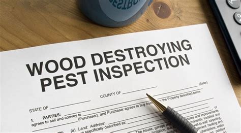 Talk to vero beach pest control experts and exterminate your bug problems yourself today! Termite Letter CL100 Inspections Greenville, Columbia, SC - Realtors
