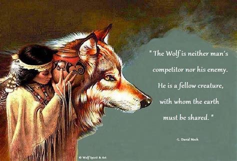 W Amn Native American Wolf Native American Wisdom Native American