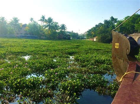 22 Photos That Will Make You Want To Visit The Backwaters