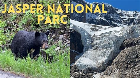 Episode 4 Jasper National Parc Youtube