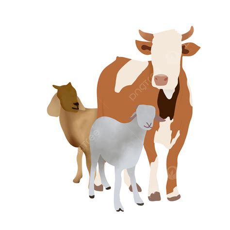 Cow Goat Sheep Came Png Vector Psd And Clipart With Transparent