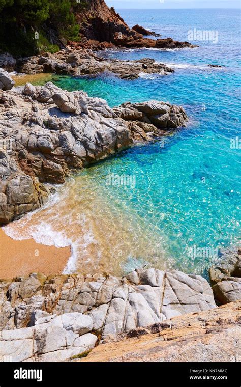 Cala Sa Boadella Platja Beach In Lloret De Mar Of Costa Brava At Catalonia Spain Stock Photo Alamy