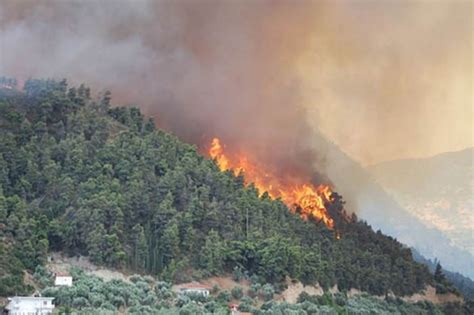 Reason Behind Forest Fire In Uttarakhand 2016 Uttarakhand Forest Fire
