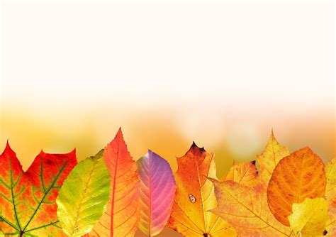 Free Image On Pixabay Autumn Leaves Colorful Fall Pictures Fall