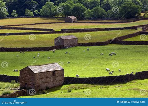 Yorkshire Dales Farmland England Stock Image Image 19885667