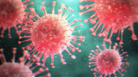 What Are Viruses And How Do They Spread Bbc Reel