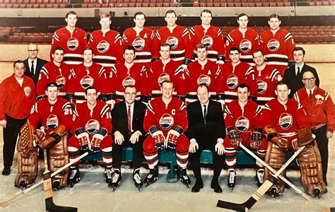 Buffalo Bisons 1969 American Hockey League Hockeygods