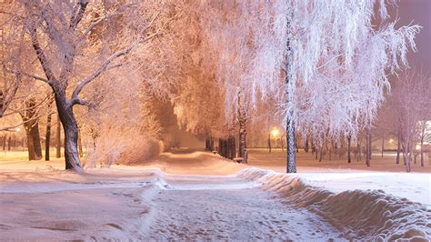 Wallpaper Winter Park Snow Night Trees Cities 1366x768