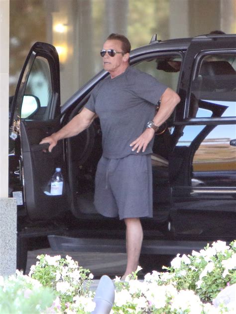 Arnold Schwarzenegger Photos Photos Arnold Schwarzenegger Goes For A