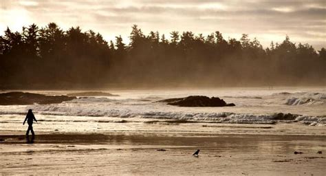 Dont Chase The Heat Chase The Storms Storm Watching In Tofino Is A