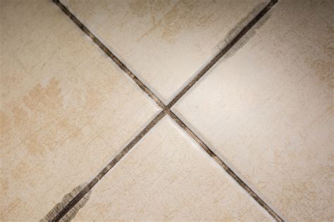 6 Reasons To Investigate The Mold And Mildew On Your Tile Surfaces